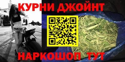 тгк Кингисепп