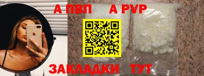 тгк Кингисепп