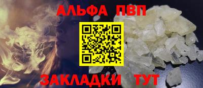 тгк Кингисепп