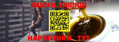 тгк Кингисепп