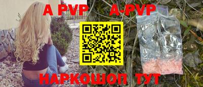 тгк Кингисепп