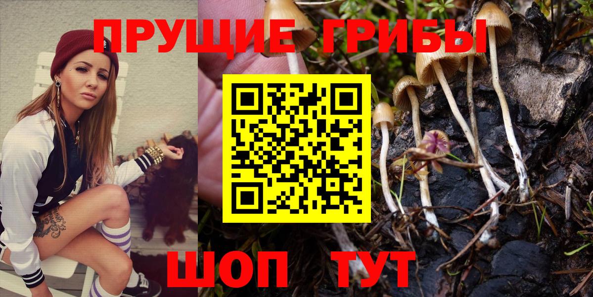 Псилоцибиновые грибы прущие грибы  Вход с VPN  Усть-Джегута 